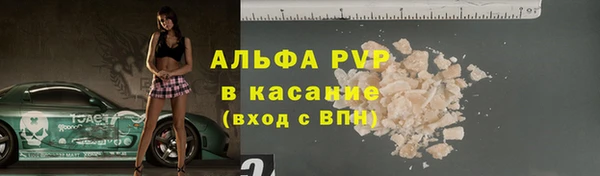 крисы Алзамай