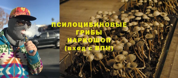 гашик Заводоуковск