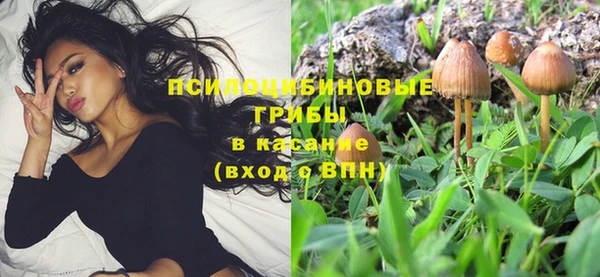 стаф Алексеевка