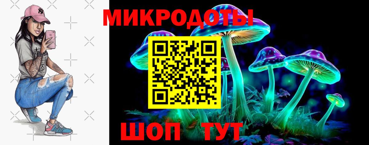 Самара  Псилоцибиновые грибы GOLDEN TEACHER  закладки  Вход с VPN 